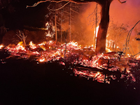 Brand mehrerer Nebengeb�ude in St�rza, 21.06.2023
