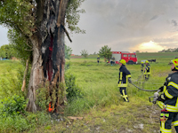 Brennender Baum nach Blitzeinschlag in D�rrr�hrsdorf, 02.06.2024